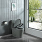 15 5/8 Inch 1.1/1.6 GPF Dual Flush 1-Piece Elongated Toilet with Soft-Close Seat - Light Grey 23T01-LG