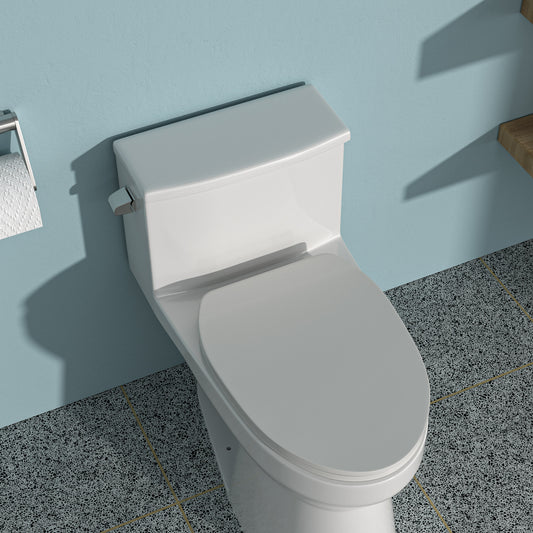 Ceramic One Piece Toilet, Single Flush with Soft Clsoing Seat
