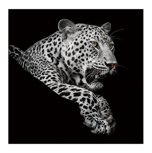 " Leopard in Black and White" Acrylic Wall Art (40" H X 40" W)