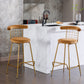 Bar Stool Set of 2, Luxury Velvet High Bar Stool with Metal Legs and Soft Back, Pub Stool Chairs Armless Modern Kitchen High Dining Chairs with Metal Legs, Camel