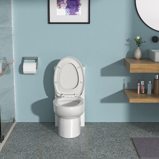 Ceramic One Piece Toilet, Dual Flush with Soft Clsoing Seat